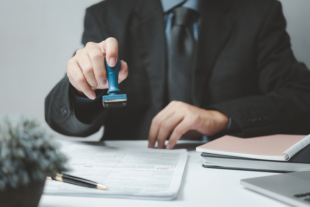 visa filing support